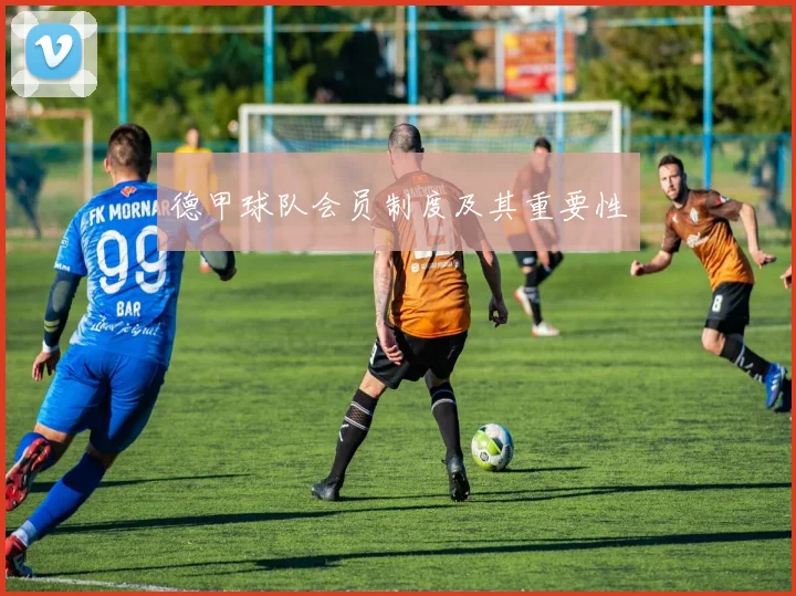 德甲球队会员制度及其重要性