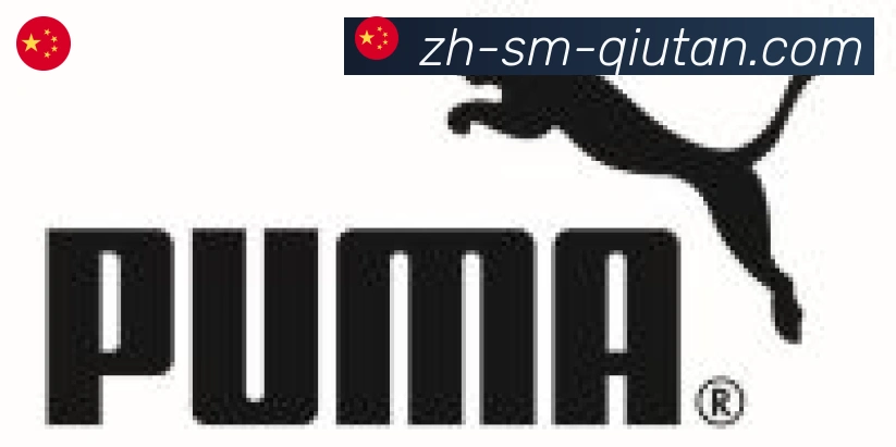球探体育合作伙伴